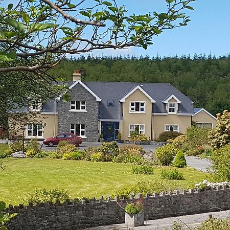 Greenlawn Lodge Lisdoonvarna Extérieur photo